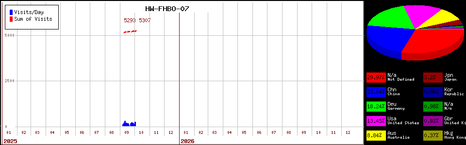HW counter page statistic